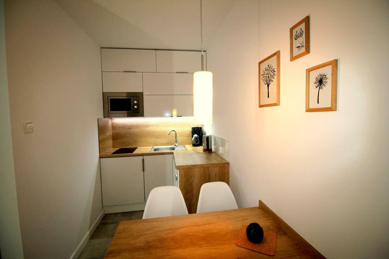 Apartamenty Podgorze شكلارسكا بوريبا المظهر الخارجي الصورة